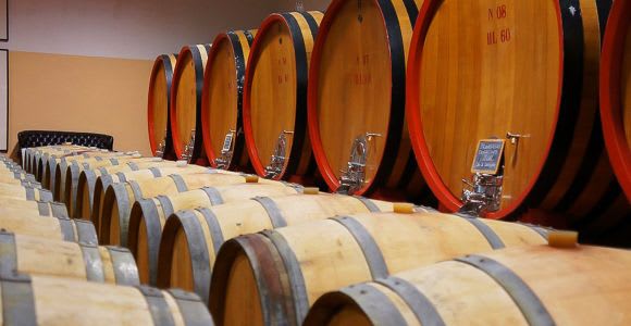 De Sienne : visite guidée des vins du Brunello di Montalcino avec déjeuner