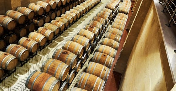 Brindisi: Winery Tour & Guided Wine Tasting