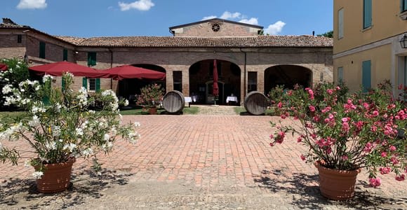 Modena: Traditional Farmhouse Lunch with Tour and Balsamic Vinegar Tasting