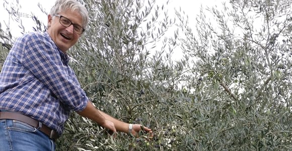 Olive Mill Tour and Tasting in the Padua Hills