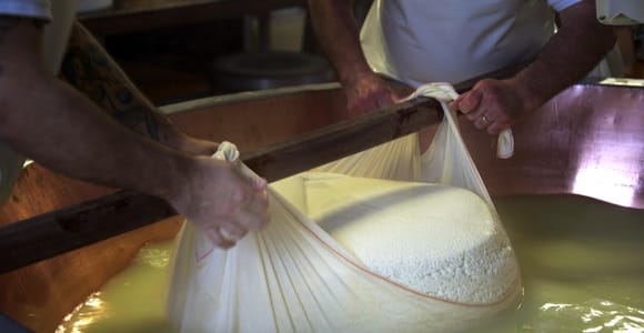 Parma: visita guiada a la quesería con degustación y comida típica