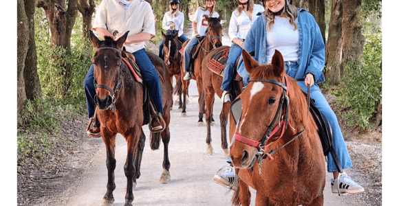Sienne : Randonnée à cheval dans la campagne toscane