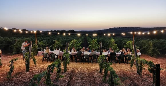 Apulia: Cata guiada de vinos con aperitivos locales