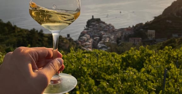 Vernazza: Hike the Heroic Vineyards with Local Wine Tasting