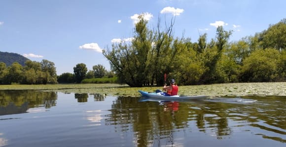 Adda River: Half day Kayak Trip