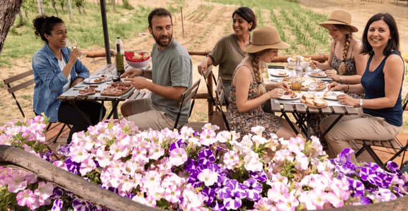 Montepulciano : visite de la ferme Cinta Senese, dégustation et vin