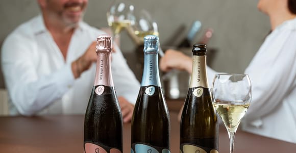 Franciacorta: visita al viñedo, bodega y cata Edea To