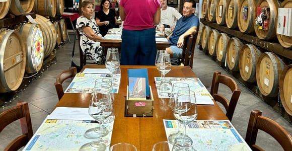 Lecce: Tour durch die Negroamaro-Weinberge mit Weinverkostung