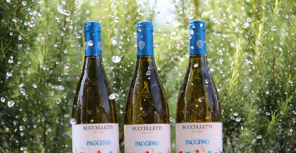 Toskana: Weißweinverkostung mit Aperitivo in einem lokalen Weingut
