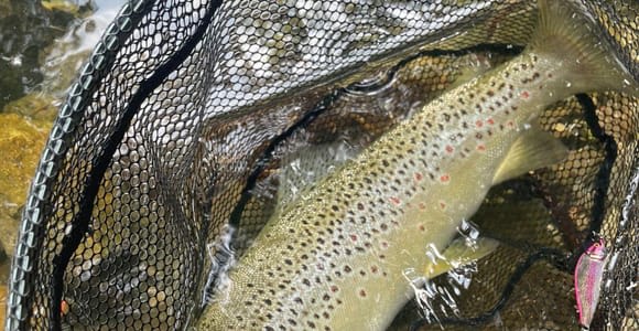 Bassano del Grappa: Brenta River Fishing Experience