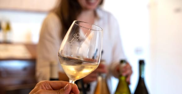 Villa Bogdano 1880: Guided Winery Tour and Tasting