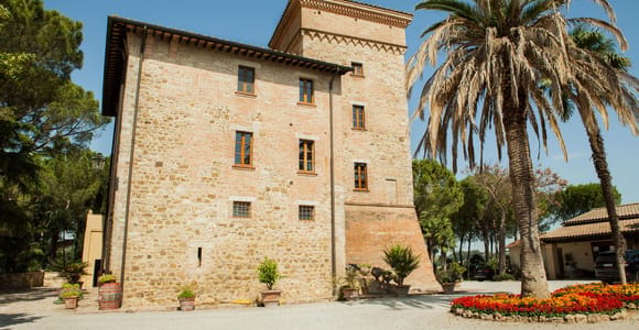 Visita a la bodega Goretti y cata de vinos