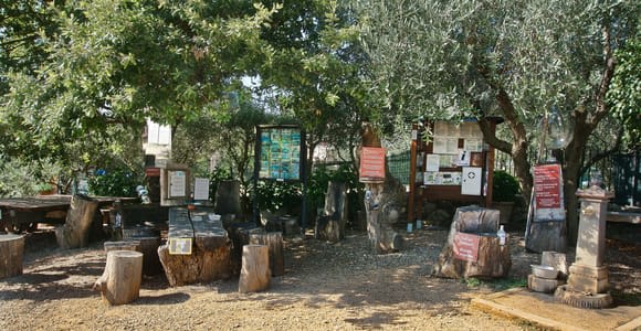 Sienne : randonnée guidée d'une demi-journée à Monteriggioni