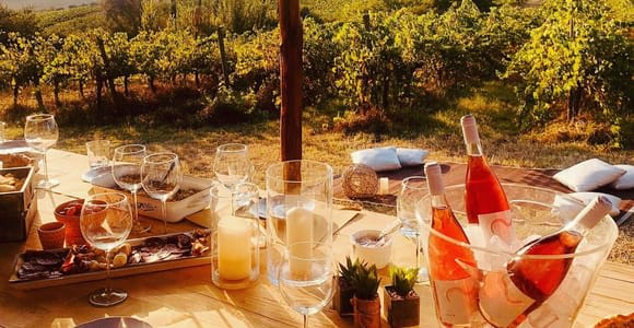 Cortona: Organic wines tasting at Colle Acacia's vineyards