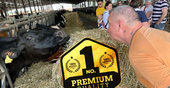 Modena: Private Tour Bio-Parmigiano-Reggiano mit Verkostung