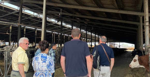 Modena/Bologna: Ferrari, Lambo, Cheese, Vinegar Tour w/Lunch