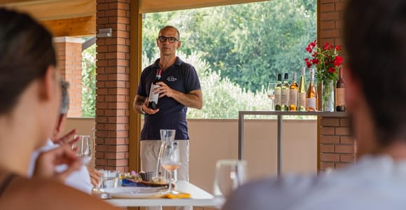 Bardolino: Tour gastronomico con degustazione di vino, olio d'oliva e prodotti alimentari