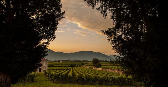 From Bergamo: Winery Tour in Franciacorta with Lunch
