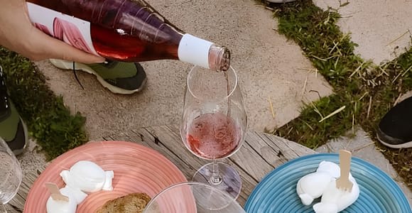Puglia Vineyard E-Bike Ride & Winery Experience