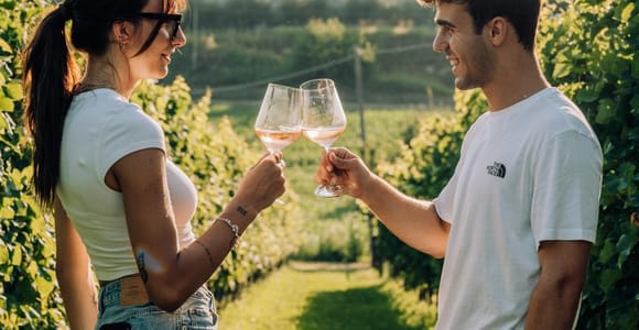 Lago di Garda: Degustazioni di vino e cibo nei vigneti