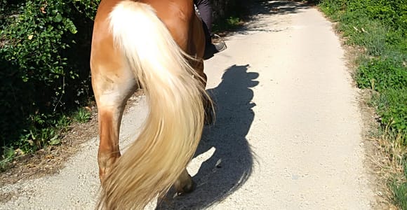 Casentino: Reittour mit Blick auf das Verna-Schutzgebiet