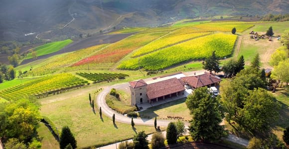 Tenuta Bonzara – Tour and Wine Tasting in the Bologna Hills