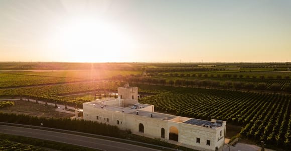 TORLEANZI: Weintour und Verkostung auf einem Weingut in Torre San Gennaro