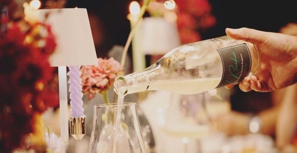 Parma: visita a viñedo y degustación de 5 vinos locales
