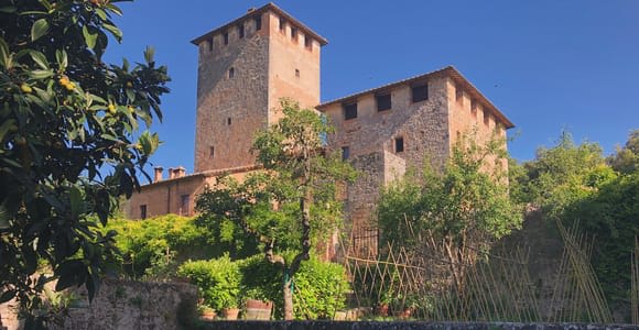 Sienne : Visite et dégustation de vins dans un château privé toscan