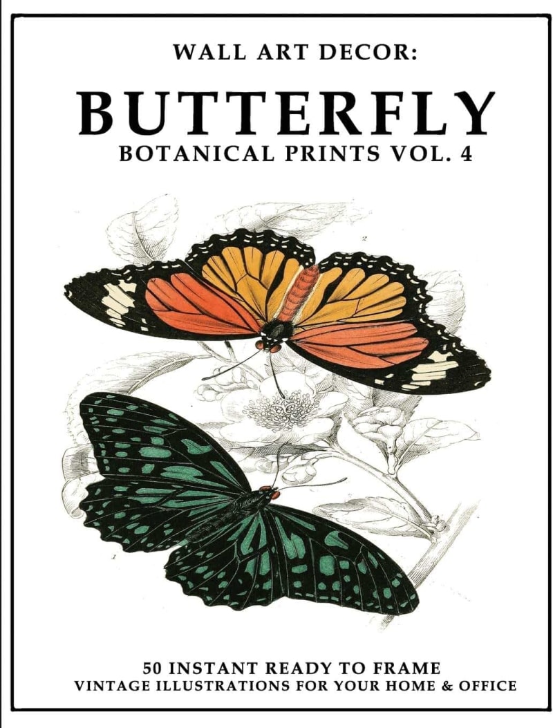 Wall Art Decor: Butterfly Botanical Prints Vol. 4: 50 Instant Ready to Frame Illustration Art Prints for Your Home & Office Decor: 11