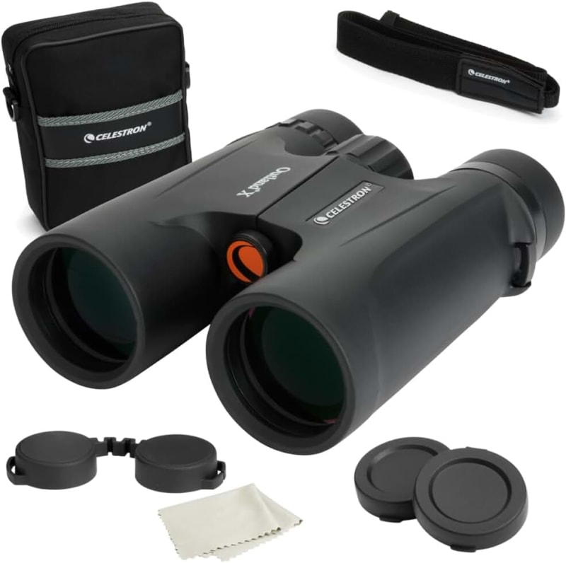 Celestron Outland Roof Prism Binoculars, 10 x Magnification x 42 mm Lens Diameter