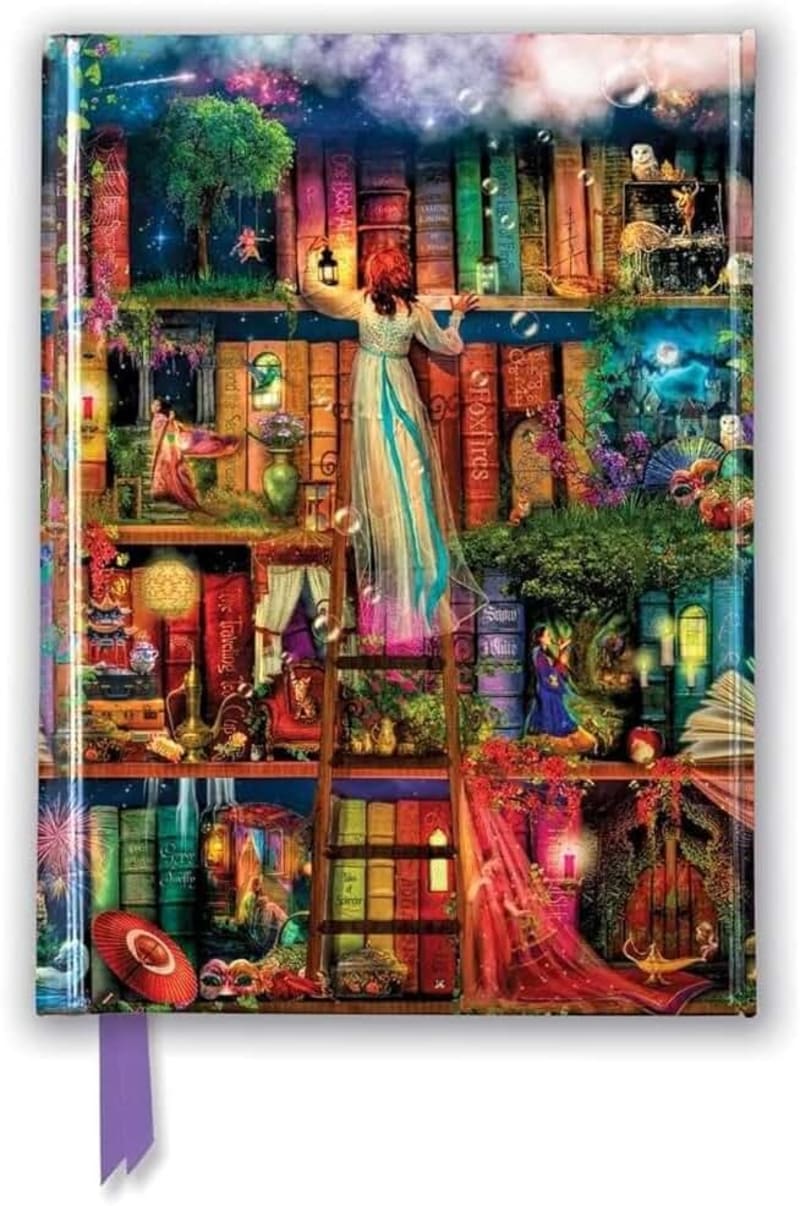 Aimee Stewart: Treasure Hunt Bookshelves (Foiled Pocket Journal)