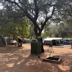 Crocodile Bridge campsite (Pictures) - Kruger National Park