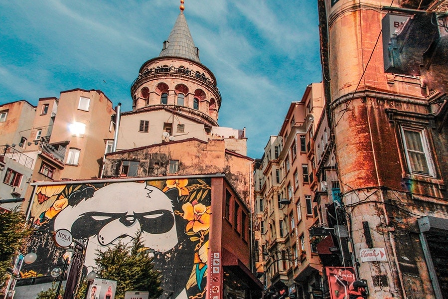 angry panda graffiti on the wall with partial galata tower view on the background