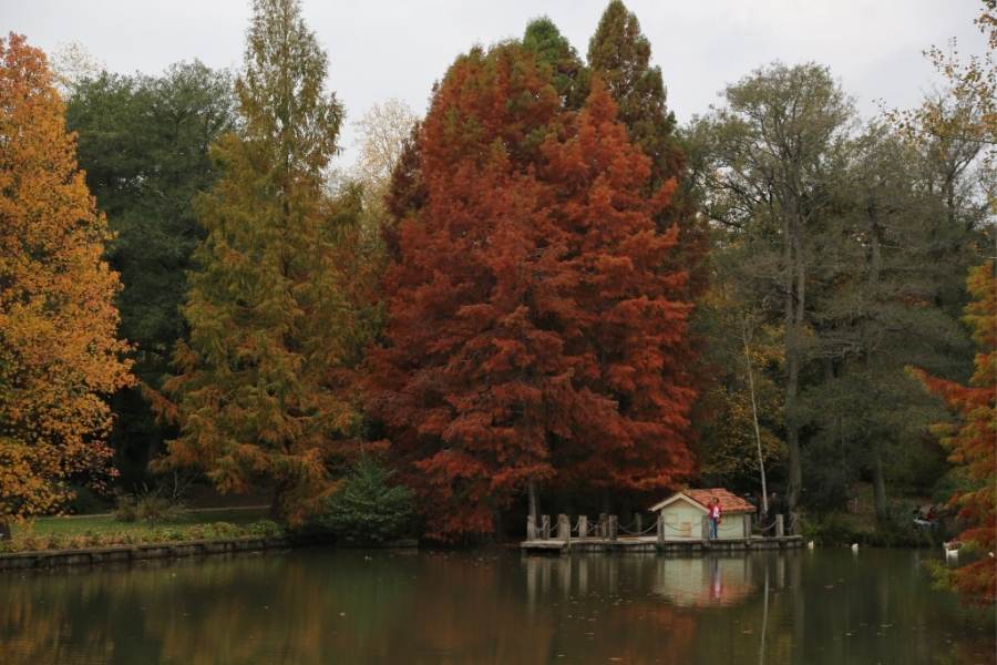 a lake shed trees and lake view in ataturk arboretum in istanbul