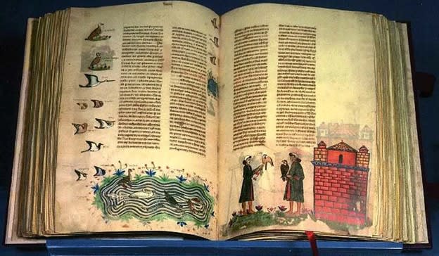 Книга Фридриха - De Arte Venandi cum Avibus