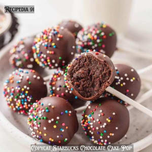 Starbucks Chocolate Cake Pop - A Zoomed Image on the plate.