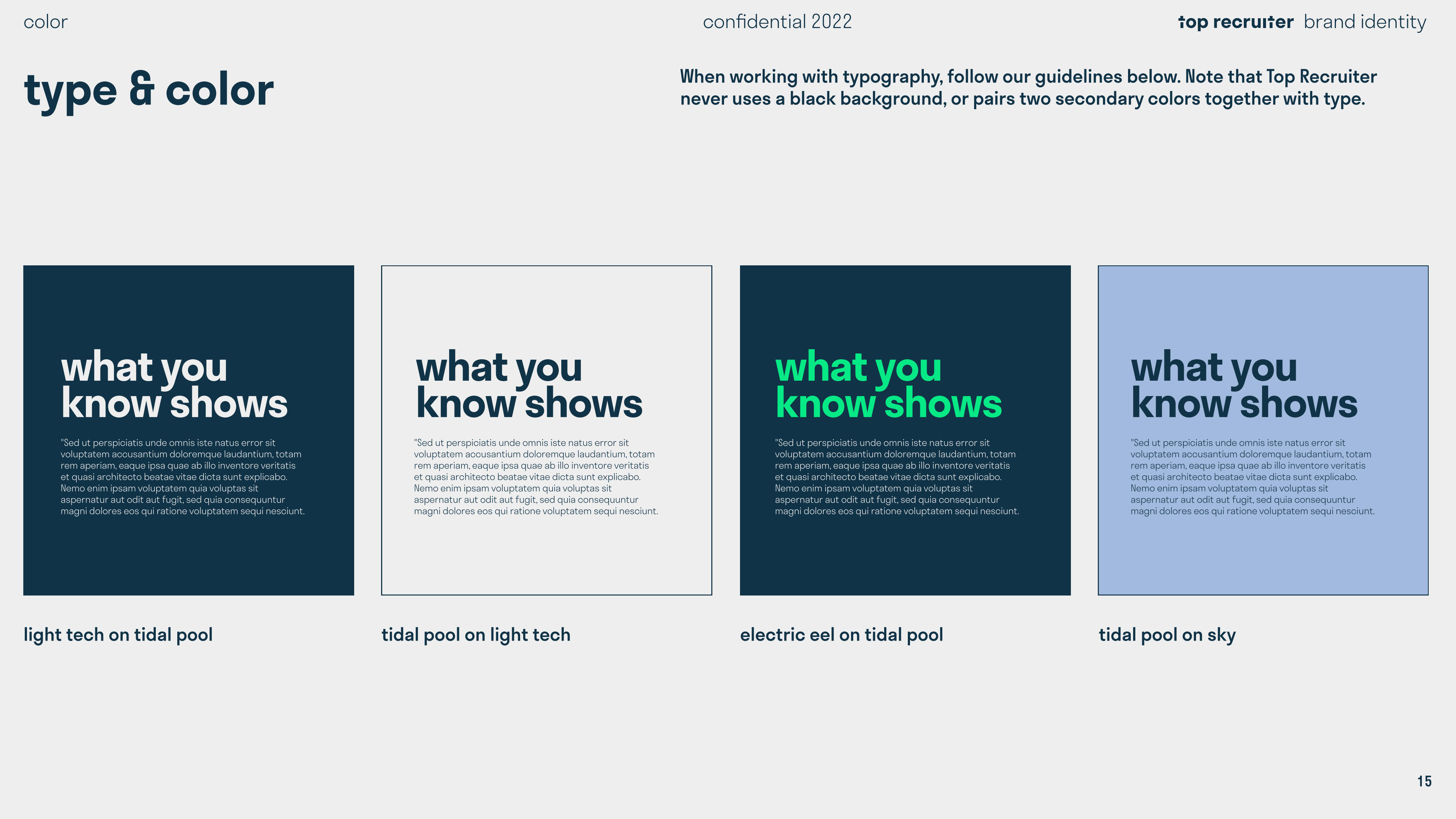 Top Recruiter Brand Identity page 15