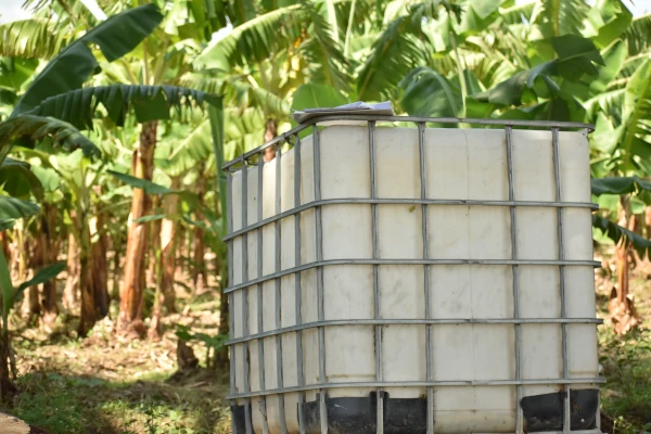 Thumbnail of Empresas de RD y Costa Rica desarrollarán 30 proyectos en favor de la biodiversidad
