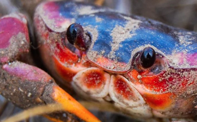 Thumbnail of 5 acciones para conservar biodiversidad desde las empresas
