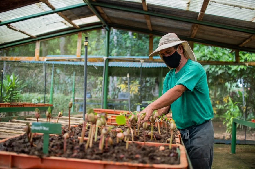 Thumbnail of Cinco acciones para conservar la biodiversidad desde las empresas
