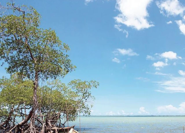 Thumbnail of En Miches: ‘El Seibo resiliente’
