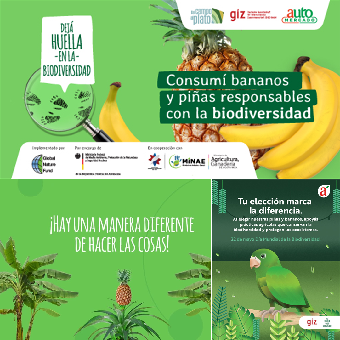 Image of Leave Your Mark on Biodiversity