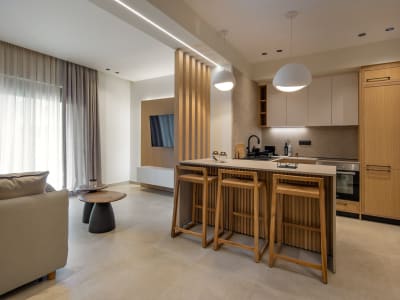 One Bedroom Apartment 6