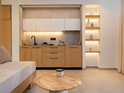 Superior One Bedroom Apartment 6