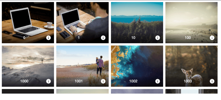 Image Grid