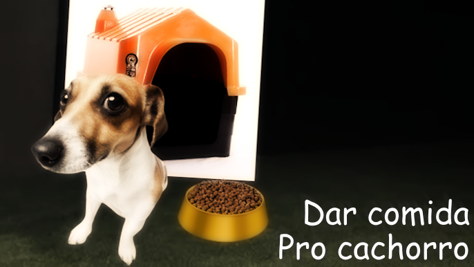 Dar comida pro cachorro