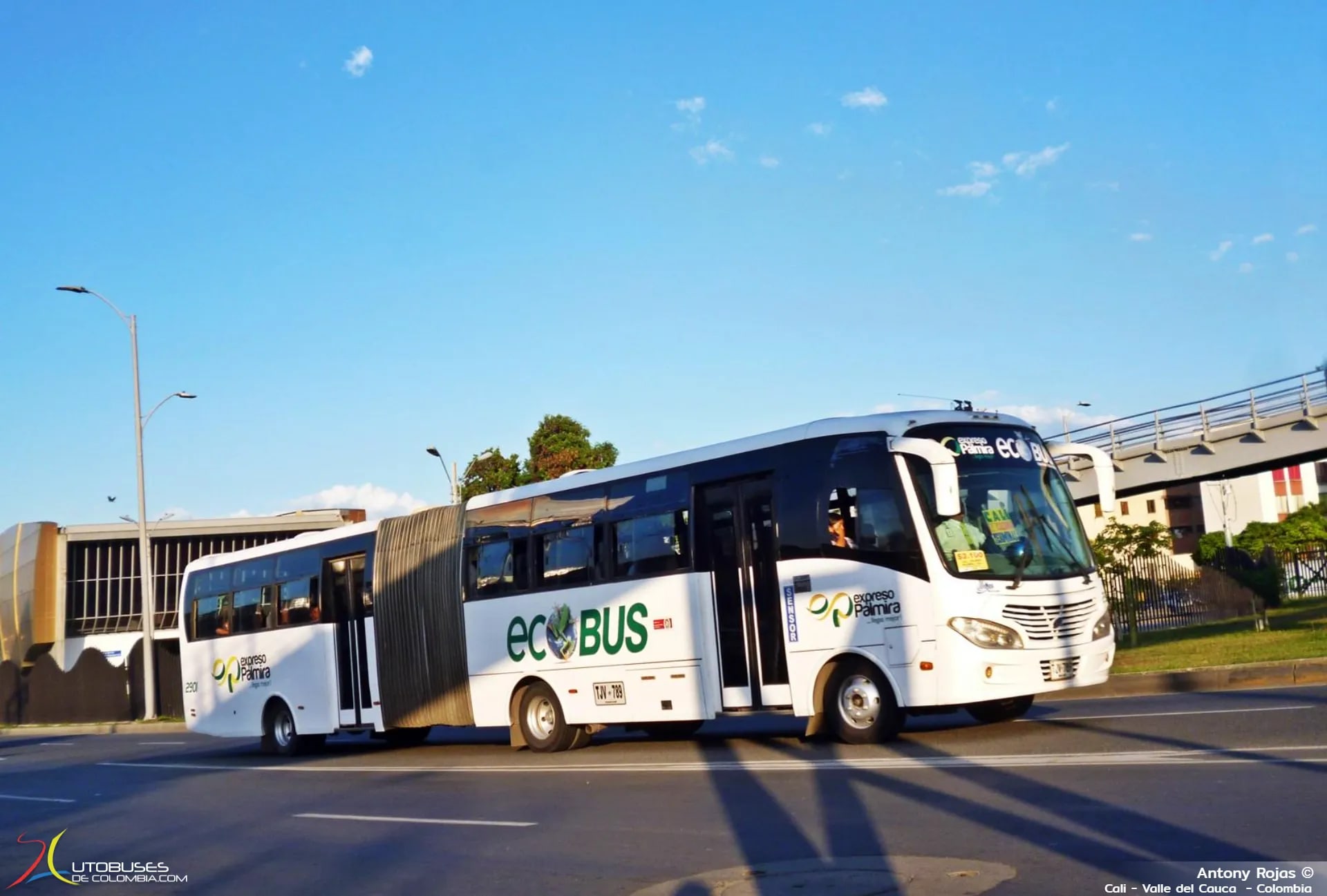 JGB JGB Ibiza Renno 230GA