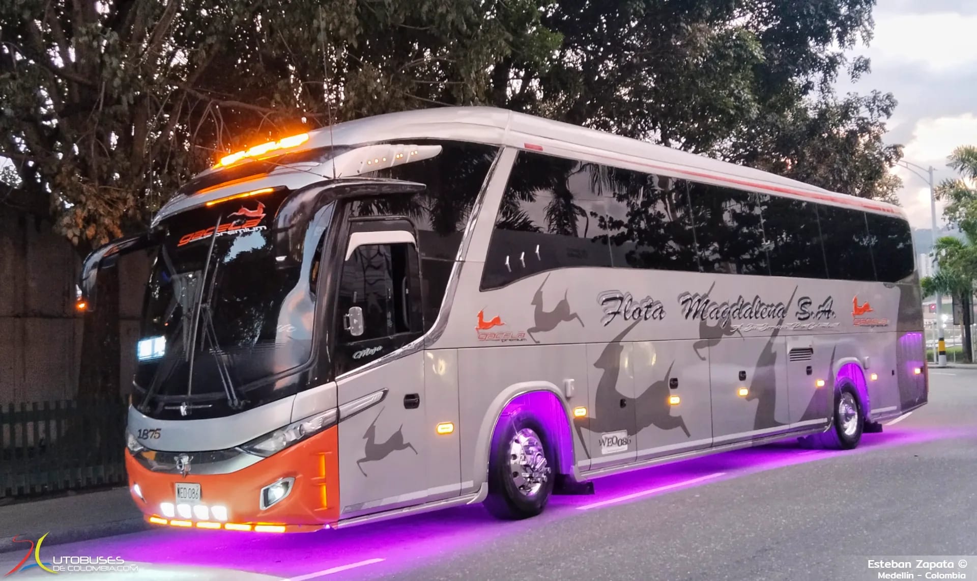 Marcopolo Superpolo Marcopolo Paradiso 1200 G7 Scania K360