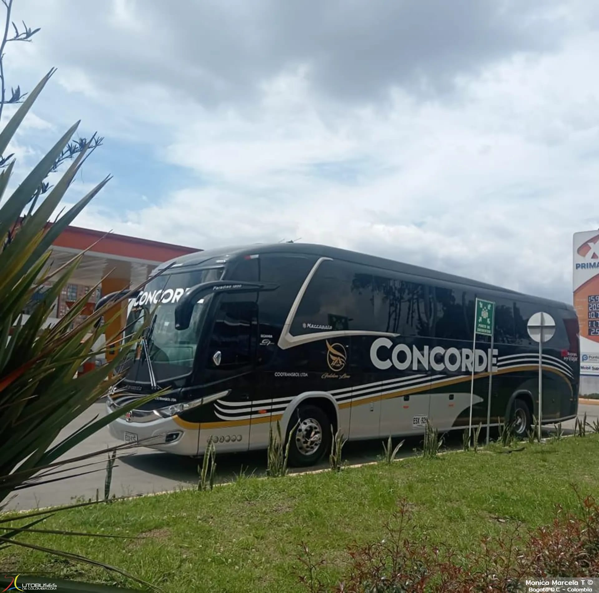 Marcopolo Superpolo Marcopolo Paradiso 1200 G7 Scania K410